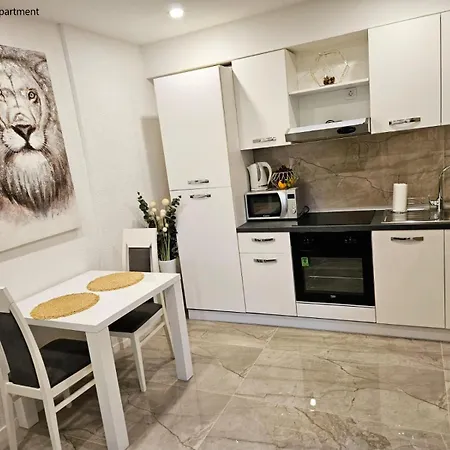 Apartman Sinkovic *